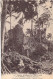 Nouvelle Calédonie  - Pinacles Phosphatées De Puutiare - Ile De Makatea - Tuamotu - Animé -  Carte Postale Ancienne - Nueva Caledonia