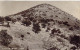 ISRAEL - Galilee - Mount Tabor - Carte Postale Ancienne - Israël