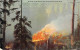 CANADA - A View Of The Forest Fire In The Great North West  - Carte Postale Ancienne - Ohne Zuordnung