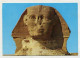 AK 134873 EGYPT - Giza - Sphinx - Sphinx