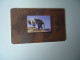 UNITED  ARAB EMIRATES  UAE USED CARDS ANIMALS TIGER - Oerwoud