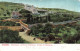 Israel - Jerusalem - Jardin De Gethsémane - Mont Des Oliviers - Colorisé -  Carte Postale Ancienne - Israel