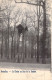 BELGIQUE - BRUXELLES - La Cloche Au Bois De La Cambre - Carte Postale Ancienne - Plätze