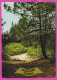 292207 / Netherlands Groeten Van Vlieland Forest PC Used Leeuwarden 1986  50 Ct 100th Ann. Of Tourist Association Flamme - Vlieland