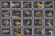 USA New ** 2023 Endangered Species, Reptile,Snake,Fish,Parrot,Frog,Rat,Rabbit,Bird,Panther,Wolf,Quail,20v MNH (**) - Unused Stamps