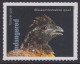 Delcampe - USA New ** 2023 Endangered Species, Reptile,Snake,Fish,Parrot,Frog,Rat,Rabbit,Bird,Panther,Wolf,Quail,20v MNH (**) - Nuevos