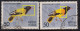 EFO, Print Shift Variety, India Used 1975,  Headed Oriole, Bird, Birds, - Variedades Y Curiosidades