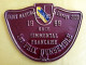 PLAQUE DE CONCOURS AGRICOLE BOVIN DIJON 1999 RACE SIMMENTHAL 1ER PRIX D'ENSEMBLE ELEVAGE SAINT MARTIN - VAUDREMONT (52) - Enameled Signs (after1960)