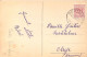 Illustration - Coccinelles Autour Du Feu De Bois - Carte Postale Ancienne - Insects
