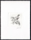 BELGIUM(1999) Goldcrest (Regulus Regulus). Die Proof In Black Signed By The Engraver. Scott No 1715. - Proofs & Reprints