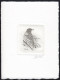 BELGIUM(2000) Brambling (Fringilla Montifringilla). Die Proof In Black Signed By The Engraver. Scott No 1788. - Proofs & Reprints