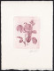 BELGIUM(1990) Bengale Desprez Rose. Die Proof In Violet-brown Signed By The Engraver. Scott No B1089.  - Probe- Und Nachdrucke