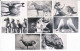 8 Photographies D' Animaux  Distribuée Par Le Chocolat CEMOI De Grenoble Images N° 13-15-18-22-79-89-125-144.* - Schokolade