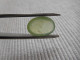 Delcampe - Cabochon De Prehnite Verte, Taille Ovale 8.50 Carats. CL17 - Other & Unclassified