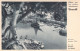 ITALIE - La Riviera Italienne - Carte Postale Ancienne - Other & Unclassified