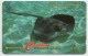 Cayman Islands - Stingray - 94CCIE (Small Control Number) - Islas Caimán