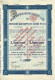 Titre De 1913 - Société Bruxelloise De Cultures à Java - Brusselsche Maatschappij Van Cultures Op Java - Agricultura