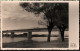 ! Photo Postcard Südamerika, Porto Alegre, Ponte, Bridge, Brazil - Porto Alegre