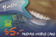 Surinam - Telesur - Hallo… - Surinam