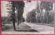 95 - Montigny - Route De La Patte D'Oie - 1908 - Montigny Les Cormeilles