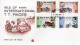 Delcampe - Lot De 4 Moto De Course Envelopes Premier Jour - Isle Of Man Tourist Trophy (TT) - 4 X FDC Envelopes - Moto