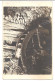Carte Postale , Censuré CERNAUTI, Voyagée 1942 , Photo NORLAND - Storia Postale Seconda Guerra Mondiale