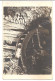 Carte Postale , Censuré CERNAUTI, Voyagée 1942 , Photo NORLAND - World War 2 Letters