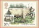 Carte Maximum (FDC) - Royaume-Uni (Écosse-Édimbourg) (6-3-1984) - Taureau Sauvage De Chillingham (Recto-Verso) - Maximumkaarten