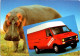 (2 R 3) France - IVECO Card And Hippopotamus / Hippopotame - Hippopotamuses