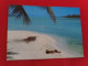 BELLE CARTE..."ALONE ON A DISTANT BEACH"...FEMME SEULE SUR UNE PLAGE - Polynésie Française