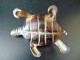 Delcampe - Tortue Cendrier En Métal, 11 X 8,5 X 5 Cm, Poids 250 Gr - Metal