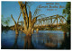 Road Bridge Over Murray Mildura Victoria 1970s Unused Postcard. Publisher Rose Stereograph Co Glen Waverley Victoria - Mildura