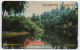 St. Kitts & Nevis - River Scene - 5CSKC - St. Kitts En Nevis