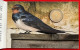 Estonia 2 Euro 2023 "National Bird - Barn Swallow" BiMetallic CoinCard BU - Estonia