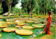 Pamplemousses Gardens - Jardin De Pamplemousses - 31 - 1979 - Mauritius - Used - Maurice