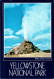Yellowstone National Park - White Dome Geyser - B15132 - USA - Unused - Yellowstone