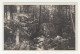 Felsenmeer Old Postcard Posted 1936 Hemer B230601 - Odenwald