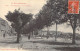 FRANCE - 31 - Montréjeau - La Promenade - Carte Postale Ancienne - Montréjeau