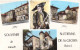 FRANCE - 38 - Souvenir De St-Etienne-de-St-Geoirs - Carte Postale Ancienne - Andere & Zonder Classificatie