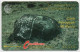 St. Vincent & The Grenadines - Carib Petroglyph - 5CSVB - St. Vincent & The Grenadines