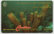 St. Vincent & The Grenadines - Yellow Tube Sponge - 142CSVB (small Font) - St. Vincent & Die Grenadinen