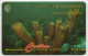 St. Vincent & The Grenadines - Yellow Tube Sponge - 142CSVB (medium Font) - St. Vincent & Die Grenadinen