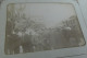 Delcampe - Lot De 116 Photos Originales De 1903 De Nice Ainsi Que Beaulieu Et Marseille M1 - Alte (vor 1900)