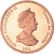 Monnaie, NIGHTINGALE ISLAND, Penny, 2011, Île De Nightingale, SPL, Cuivre - St. Helena