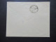 Argentinien 1901 Bedruckter Ganzsachen Umschlag / Senor F. Leinau Bolsa No30 Buenos Aires / Wertstempel Roter Überdruck - Postal Stationery