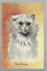 ***  1  X  LOUIS  WAIN  ***   -   WHITE PERSIAN - Wain, Louis