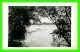 LAKE COUCHICHING, ONTARIO - SCENE AT GENEVA PARK - CARTE PHOTO - CIRCULÉE EN 1956 - - Autres & Non Classés