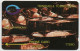 Trinidad & Tobago - Pan In Harmony - 3CTTC - Trinité & Tobago