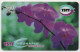 Trinidad & Tobago - Purple Flowers (Orchids) - Trinidad & Tobago