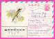 296532 / Russia 1980 - 6 K. (Avia) - Bird European Bee-eaterр Ukraine Ordzhonikidze, Crimea - Bulgaria Stationery Cover  - Piciformes (pájaros Carpinteros)